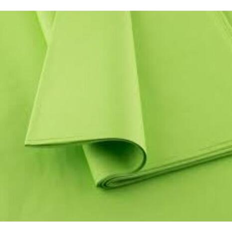 Χαρτί αφής Werola 50x70cm No 13 Light Green